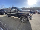 New 2025 GMC Sierra 3500 Pro w/ Convenience Package image 2