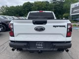Used 2024 Ford Ranger Raptor image 4