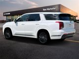 New 2025 Hyundai Palisade Calligraphy image 4