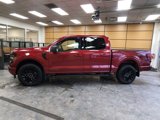 New 2025 Ford F150 XLT w/ Equipment Group 302A MID image 4