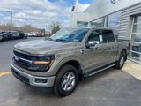 New 2025 Ford F150 XLT w/ Equipment Group 302A MID image 2