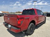 New 2025 Ford F150 XLT w/ Equipment Group 302A MID image 5
