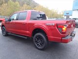 New 2024 Ford F150 XLT w/ Equipment Group 302A MID image 3