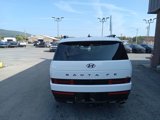 New 2025 Hyundai Santa Fe Calligraphy image 5