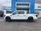 New 2025 Ford F150 STX w/ STX Black Appearance Package image 4