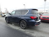 Certified 2024 INFINITI QX80 Premium Select w/ Cargo Package image 4