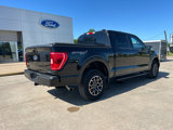 Used 2023 Ford F150 XLT w/ Equipment Group 302A High image 5
