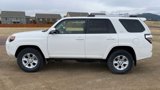 Used 2021 Toyota 4Runner SR5 Premium image 5