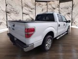 Used 2014 Ford F150 XLT w/ Equipment Group 302A Luxury image 6