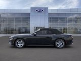 New 2025 Ford Mustang Premium image 3
