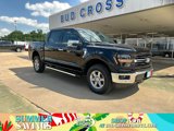 New 2025 Ford F150 XLT image 1