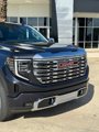 New 2025 GMC Sierra 1500 Denali w/ Technology Package image 2