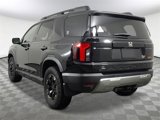 New 2026 Honda Passport TrailSport Elite image 4