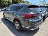 Used 2023 Hyundai Santa Fe SEL w/ Premium Package image 5
