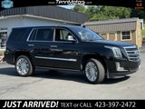 Used 2019 Cadillac Escalade Platinum image 5