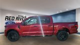 New 2025 Ford F150 STX w/ STX Black Appearance Package image 2