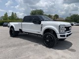 New 2025 Ford F450 Platinum image 2