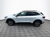Used 2025 Ford Escape ST-Line image 5