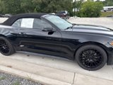 Used 2017 Ford Mustang Convertible image 3