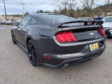 Used 2019 Ford Mustang Premium w/ Ecoboost Performance Package image 5