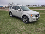 Used 2008 Ford Escape Limited image 2
