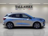 Used 2024 Ford Escape ST-Line image 4
