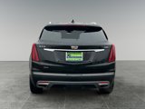 Used 2024 Cadillac XT5 Premium Luxury image 6