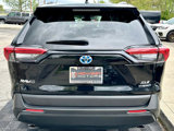 Used 2023 Toyota RAV4 XLE image 5