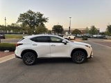 New 2026 Lexus NX 350 AWD image 5