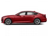 Used 2021 Cadillac CT5 Premium Luxury w/ Parking Package image 3