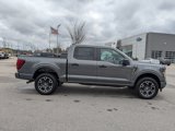 New 2025 Ford F150 STX image 6