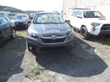 Used 2021 Subaru Outback Premium w/ Popular Package #1 image 2