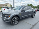 New 2025 Ford F150 STX image 4