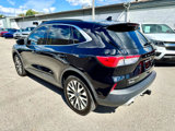 Used 2020 Ford Escape Titanium image 4