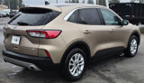 Used 2020 Ford Escape SE image 5