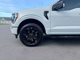 Used 2023 Ford F150 XLT w/ Equipment Group 302A High image 2