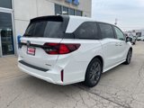 New 2025 Honda Odyssey Touring image 5