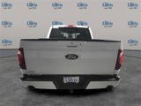 New 2025 Ford F150 XLT w/ Equipment Group 302A MID image 4