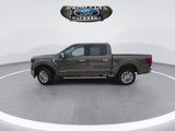 New 2025 Ford F150 XLT w/ Equipment Group 302A MID image 5