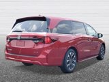 New 2025 Honda Odyssey Elite image 4
