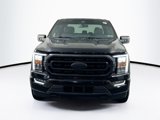 Used 2022 Ford F150 XLT w/ Equipment Group 302A High image 2
