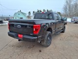 Used 2023 Ford F150 XLT image 6