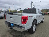 Certified 2023 Ford F150 XLT image 5