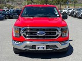 Certified 2023 Ford F150 XLT w/ Equipment Group 302A High image 5