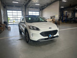 Used 2020 Ford Escape Titanium w/ Titanium Premium Package 2.0 image 4