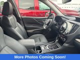 Used 2024 Subaru Forester Limited image 2