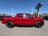 New 2025 Ford F150 STX w/ STX Black Appearance Package image 4