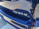 New 2025 INFINITI QX80 Sensory w/ Premium Cargo Package image 5