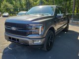 New 2025 Ford F150 Platinum w/ Equipment Group 702A High image 3
