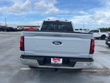 New 2025 Ford F150 XLT w/ Equipment Group 302A MID image 5